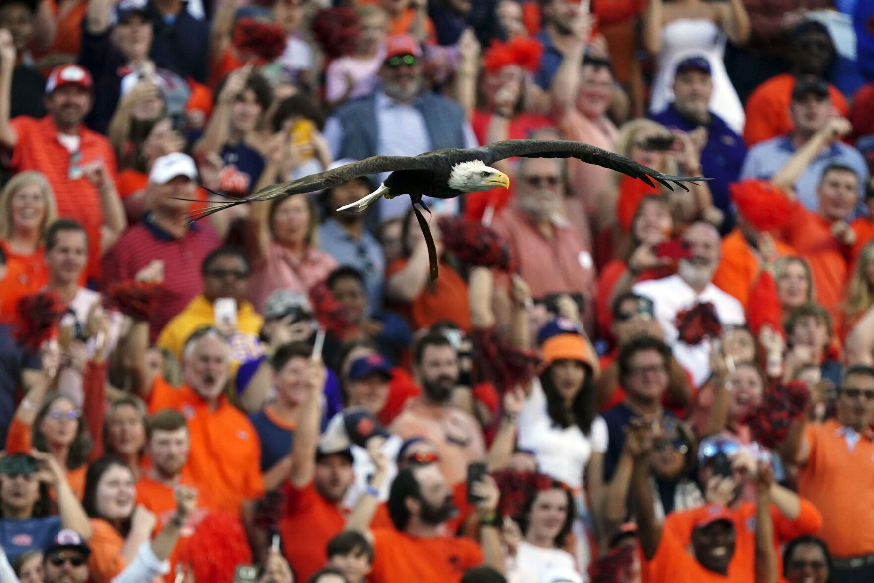 LSU Auburn Football